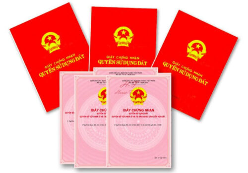 so do so hong - vua nha dat.net