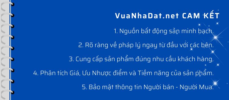 cam ket vua nha dat