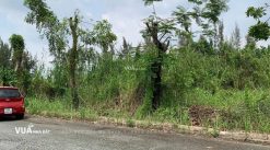 Dat-biet-thu-kdc-13c-greenlife (3)