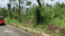 Dat-biet-thu-kdc-13c-greenlife (5)