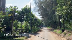 Dat-nen-KDC-13C-Greenlife-duong-vanh-dai-trong-60m (8)